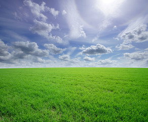 A beautiful view of a green field and the blue sky with clouds