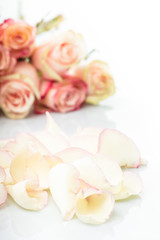 Fototapeta na wymiar pink roses petals