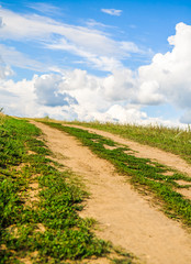 dirt road in a field