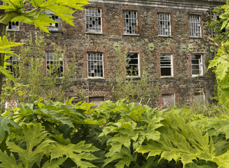 the old derelict building