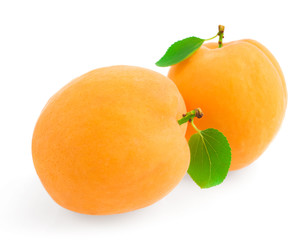Two ripe apricot with a leaf on a white background