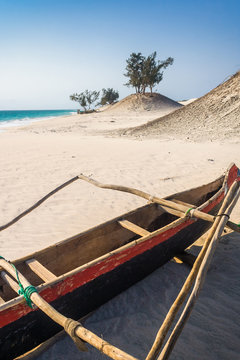 Dunes and wild beach