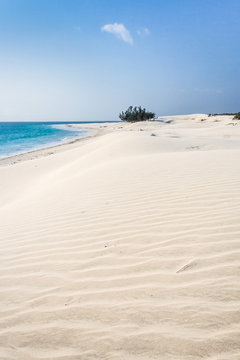 Dunes and wild beach