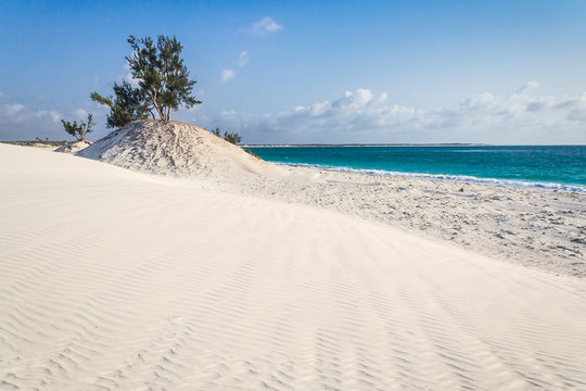 Dunes and wild beach