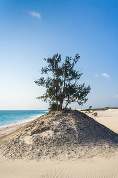 Dunes and wild beach