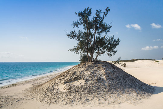 Dunes and wild beach