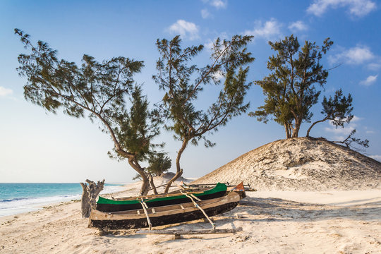 Dunes and wild beach