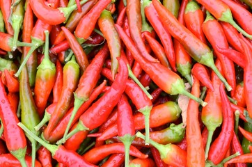 peperoncini piccanti