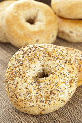 Homemade Fresh Whole Grain Bagel