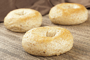 Fototapeta na wymiar Homemade Fresh Whole Grain Bagel