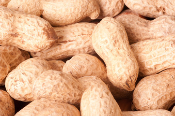 peanuts macro picture