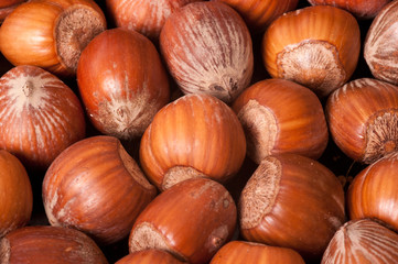 Macro picture of hazelnuts