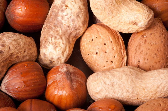 mackro picture of nuts
