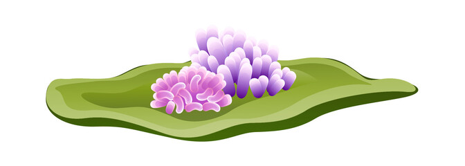 Naklejka premium vector icon coral