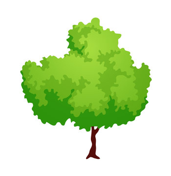 vector icon tree