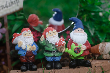 Garden gnomes
