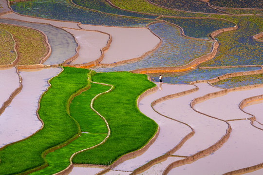 Tu Le Rice Terraces