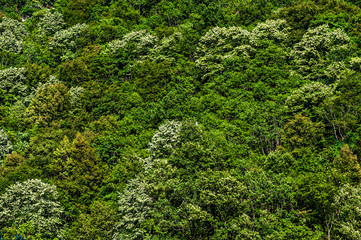 mounteins landscape in montenegro