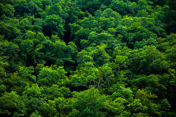 mounteins landscape in montenegro