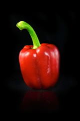 Fresh Red Paprika Pepper