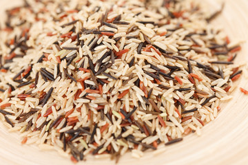 variety of rice