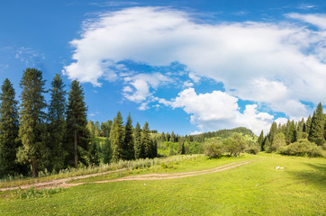 Fototapeta na wymiar panorama z lasu w Almaty, Kazachstan, Medeo