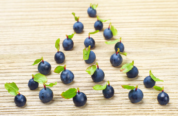 Fresh blueberries