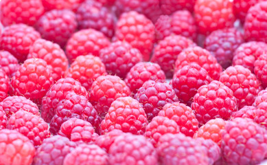 Raspberry background