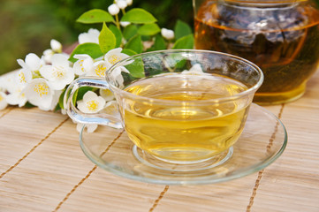 Cup of green tea with branch of jasmine