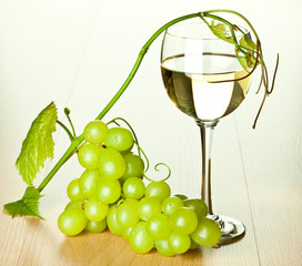 Branch of green grapes and glass of wine
