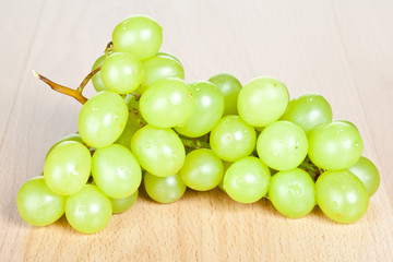 Branch of green grapes