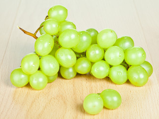 Branch of green grapes