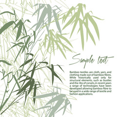 Bamboo. Floral background with copy space, vector illustration