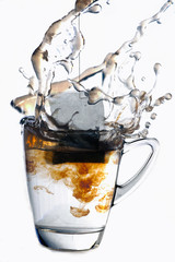 tea bag splash
