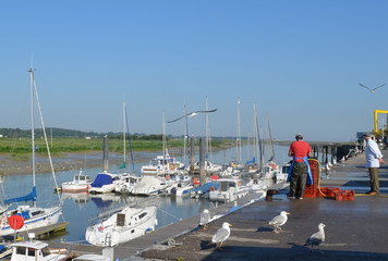 Quai du port de pêche d'Etaples