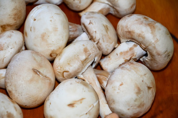 Fresh mushrooms on the board