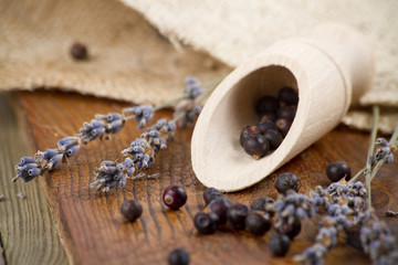 wacholder und lavendel