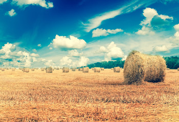 Straw bales on farmland with blue cloudy sky