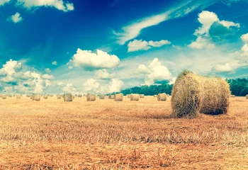Papier Peint photo Lavable Automne Straw bales on farmland with blue cloudy sky