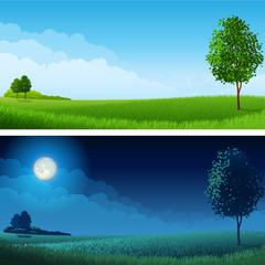 Summer landscape