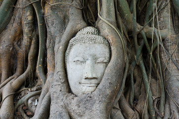 Head of Sandstone Buddha