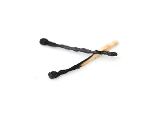 burned match on a white background