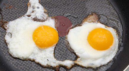 Eggs fried in a pan