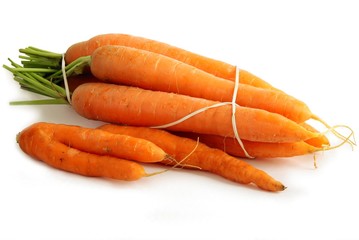 carrot