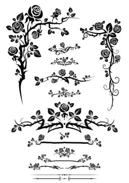 Сalligraphic elements set with roses.