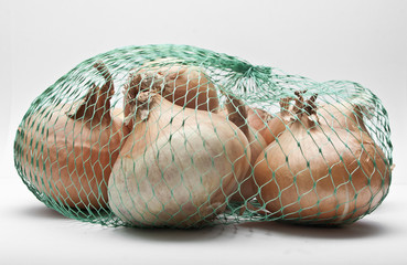 Bundle of onions