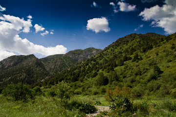 Tien Shan Mountains in the nature
