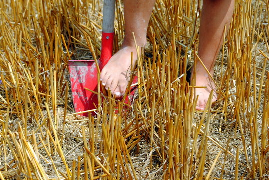 kif feet over a shovel in the field