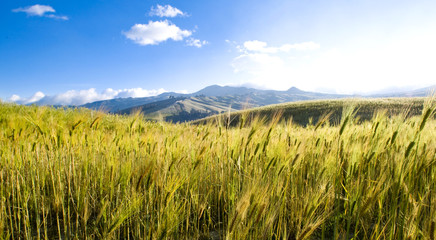 beautiful landscape view