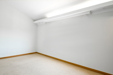 Empty white room with carpeted floor